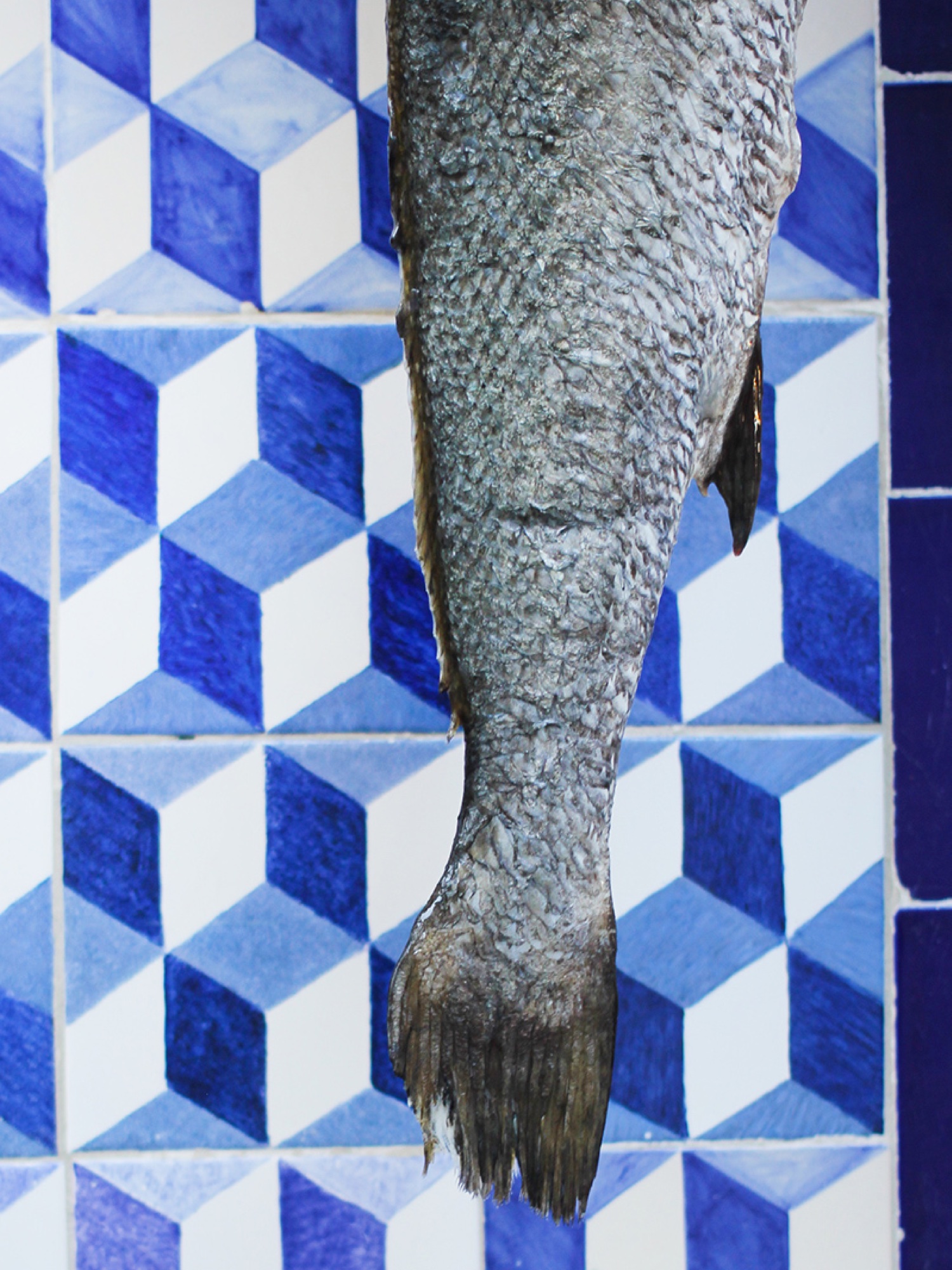 Da Noi restaurant visual content Lisbon — Volet